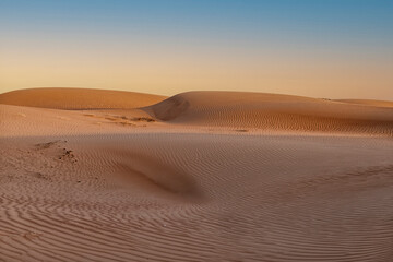 Beautiful patterns in the desert