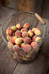 Fresh peaches fruits in basket on dark wooden rustic background, top view. Summer harvest of fruit. Still life. A group of ripe peach. Flat lay vegan food. Copy space