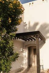 Tropical plant with yellow flowers on beige wall of the house building. Sunlight shadows on the...