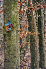 Wooden birdhouse on bare tree trunk in the woods conveys safe moving or secure tenancy concept. Bird house or nest box in a forest provides rent security, shelter and ownership protection illustration