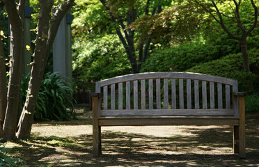 bench in the park