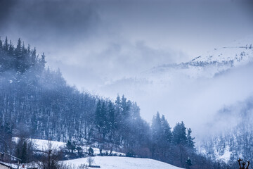 Cold winter
