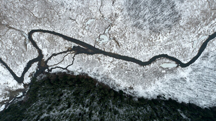 Natural, boreal forest in the Rospuda Valley (Poland)