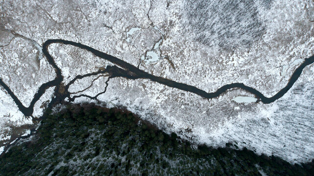 Natural, boreal forest in the Rospuda Valley (Poland)