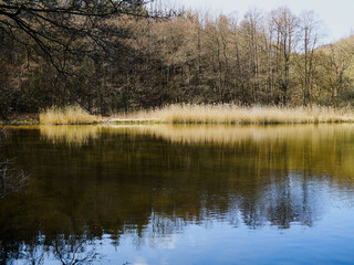 Fototapeta premium Beautiful calm small lake surrounded by trees near Faaborg Denmark
