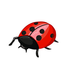 Cute cartoon ladybug , happy red insect with black spots - simple flat drawing isolated on white background, vector illustration. 