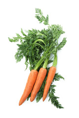 Fresh ripe carrot isolated on white background