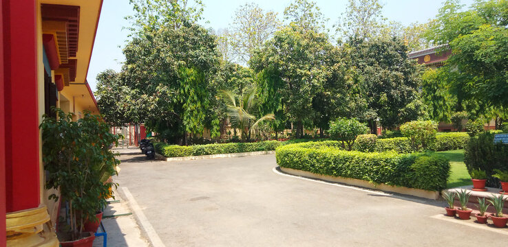 Park with road and sky white