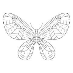 Beautiful butterfly with decorated wings coloring page. Vector outline illustration with doodle and zentangle elements for coloring book for adult. Lovely garden insect.
