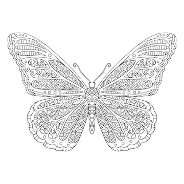 Tropical butterfly with decorated wings coloring page. Vector outline illustration with doodle and zentangle elements for coloring book for adult. Lovely garden insect.