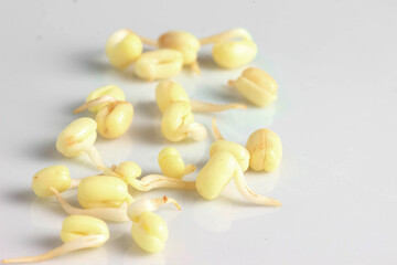 Sprouted seeds close up on the white background
