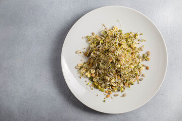 Healthy vegetarian salad with mix sprouted seeds on a plate. Healthy food concept.