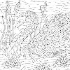 Beautiful swan near waterlily and cattails. Coloring book page for adult with zentangle elements. Vector outline art of nature with wild bird on river.