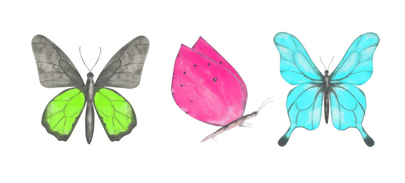 Set of 3 colorful butterflies clipart. Green, purple, and blue watercolor butterflies isolated on a white background. Hand-drawn exotic insect for your design. Colorful logo or tattoo design.