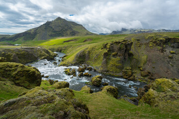 Wild river flows through green landscape in Iceland.