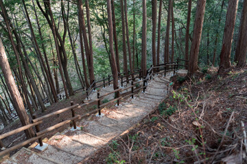 天竜峡を歩こう