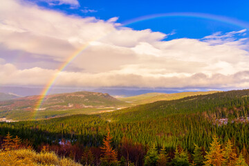 Naklejka na ściany i meble Rainbow arch over mountainous boreal forest