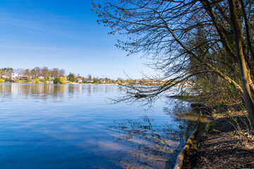 lake in the forest (Stienitzsee, Brandenburg, germany)