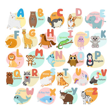 English alphabet with cute animals isolated on white background. Vector illustration for teaching children learning a foreign language.