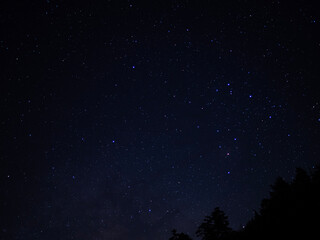 Fototapeta premium starry night sky