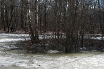 Landscape with a pond in Sokolniki park