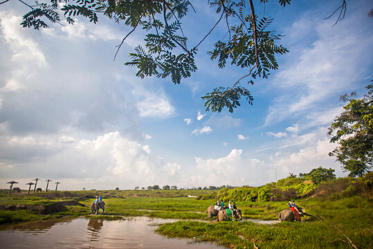 Tourist enjoying ride an elephant in Way Kambas National Park. Way Kambas is a park for elephant conservation that also a tourist destination