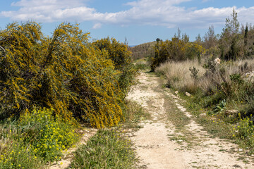 Environmental park Peramatos - Schistos in Athens District (Greece)