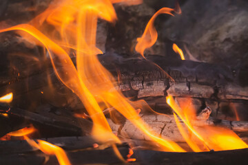 Wood burning in fireplace, soft filter. Wooden sticks with coal in firecamp. Flame and wood. Picnic concept. Environment danger. Bonfire close up. Vacations in forest. 