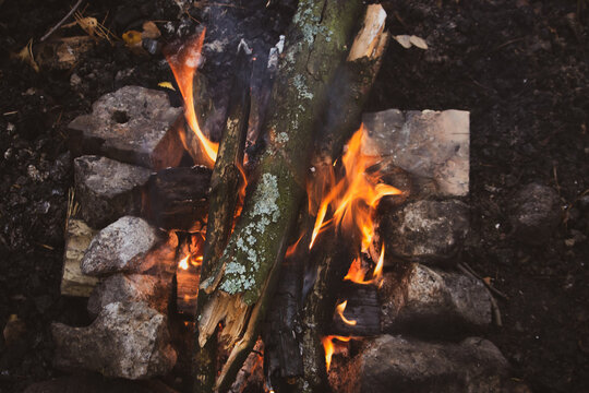 Wood burning in fireplace. Wooden sticks with smoke in firecamp. Flame and smoke. Picnic concept. Environment danger. Bonfire close up. Vacation in forest. 