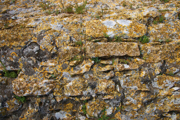 Background of old brick wall covered with moss and fungus