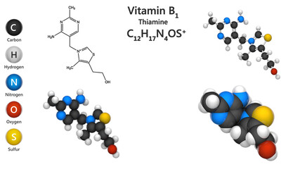Vitamin B1(Thiamine or aneurine). 3D illustration. Chemical structure model: Ball and Stick + Balls + Space-Filling. White background.