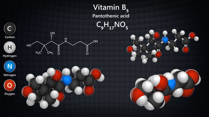 Molecular structure of Vitamin B5(Pantothenic acid). Also known as pantothenate. 3D illustration. Chemical structure model: Ball and Stick + Balls + Space-Filling.