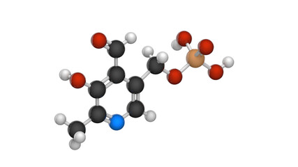 Molecular structure of Vitamin B6(Pyridoxal phosphate). 3D illustration. Chemical structure model: Ball and Stick. White background.