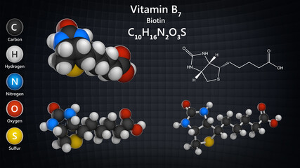 Molecular structure of Vitamin B7(biotin). Also known as Vitamin H. 3D illustration. Chemical structure model: Ball and Stick + Balls + Space-Filling.