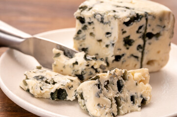 Cheese collection, piece of soft French blue cheese roquefort