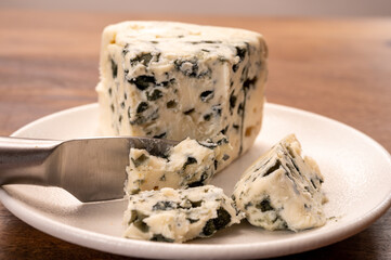 Cheese collection, piece of soft French blue cheese roquefort