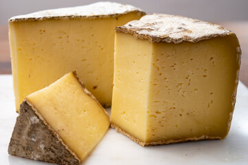 Cheese collection, Tomme de Savoie cheese from Savoy region in French Alps,  mild cow's milk cheese with beige interior and thick brownish-grey rind