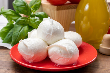 Cheese collection, small fresh white soft mozzarella cheese balls served with red tomatoes and fresh green basil from Italy