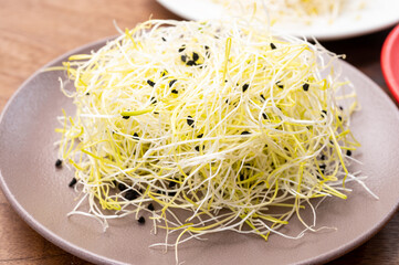 Young sprouts plants of alfalfa, leek ready for consumption