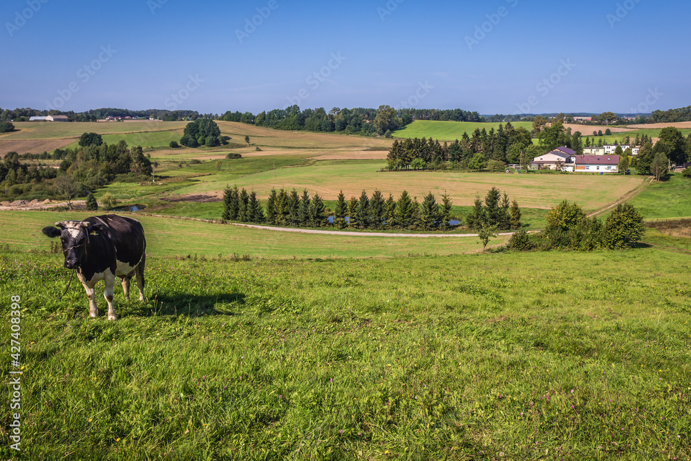 Wall mural Rural landscape of Kaszuby region of Poland