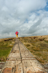 Woman walking up wooden path up in the Djouce mountain in Wicklow ireland