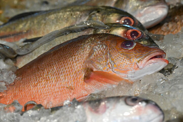 The colourful fresh fish ingredients for sale at a seafood harbour market.