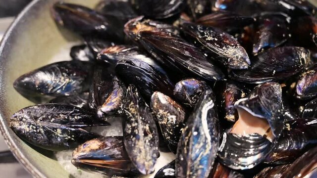 Close-up panoramic footage of a pot of mussels that are cooking: you can see the steam rising and the cooking broth boiling. Preparation of a food of the Mediterranean diet.
