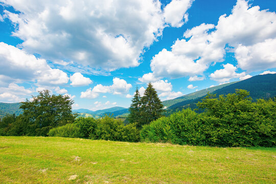 rural landscape in carpathian mountains. summer nature scenery with trees on the meadow. fluffy clouds on the bright blue sky. beautiful view in to the distant hills and valley