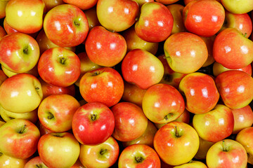 Background of many pieces of kanzi apples, overhead view, studio food photography.