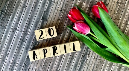 April 20 on wooden cubes.Next to the tulips on a wooden background.Calendar for April.