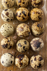 Aerial view of quail eggs in transparent plastic egg cup, selective focus, on wooden table, vertical