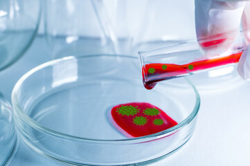Medical laboratory. A hand in a medical glove pours blood with the virus into a petri dish for...