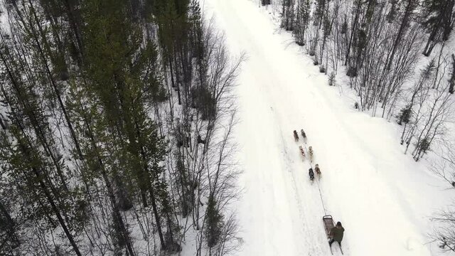 Drone Aerial view of dogsledding handler with team of trained husky dogs mountain pass, husky dog sled riding in winter forest