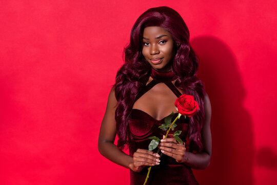 Photo of stunning afro american magnificent woman hold rose dream lady isolated on red color background